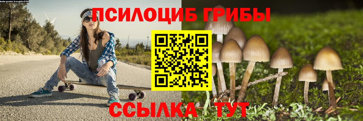 Советская Гавань  купить наркотики сайты  Вход с VPN  Псилоцибиновые грибы Psilocybine cubensis 